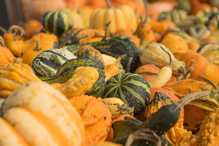 zucche, autunno, arancio, giallo, zucca di Halloween, decorazione, verdure