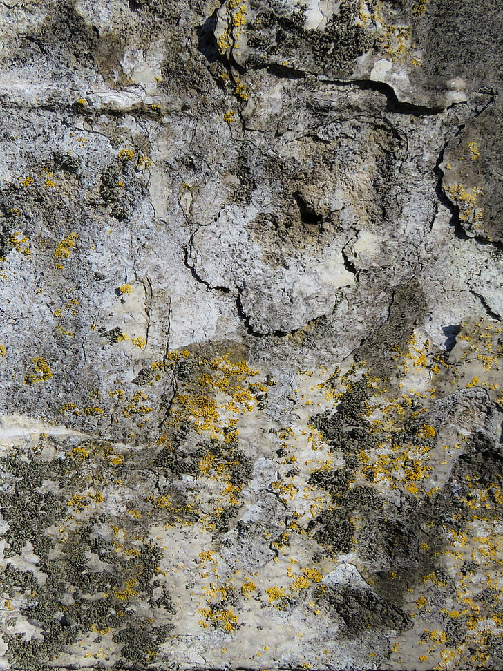 texture, background, wall, plaster, structure, weave, facade