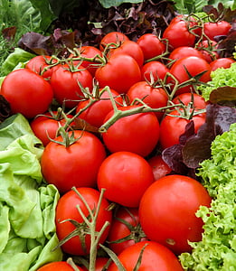 maisto, vaisiai, salotų lapai, mityba, pomidorai, daržovės, pomidorų