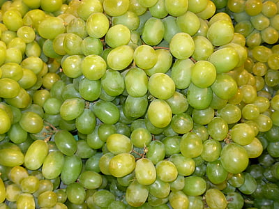raisins, vert, fruits, vigne, vignoble, couleur verte, une alimentation saine