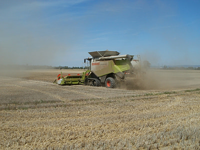 felter, høst, korn, landbrug, afgrøde, maskiner, køretøj