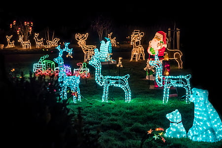 Weihnachten, Hirsch, Santa claus, Licht, Beleuchtung, Stimmung, Postkarte