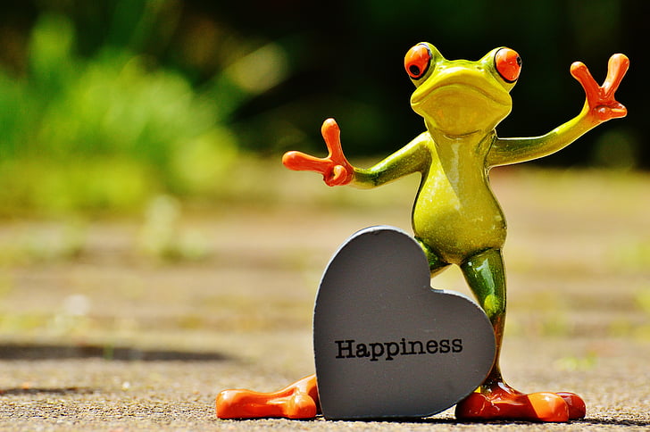 Kurbağa, komik, gülmek, neşeli, mutlu, pozitif, gülümseme