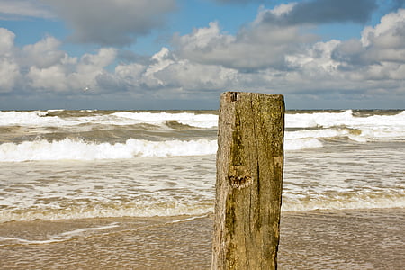stranden, havet, Holiday, Nordsjön, sommar, naturen, vackra stränder