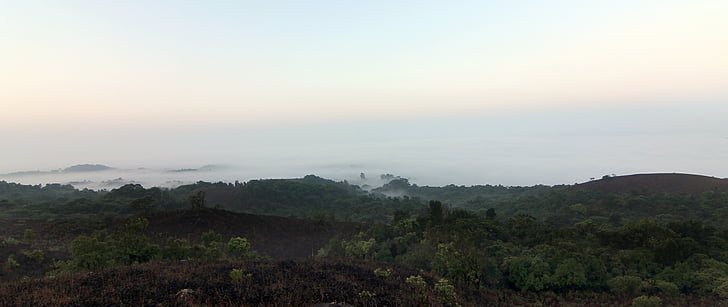 Coorg, Nebel, Wälder, Grün, Hügel, Dschungel, Landschaft