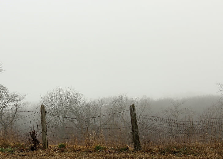 rural, country, fence, post, wood, wire, fog