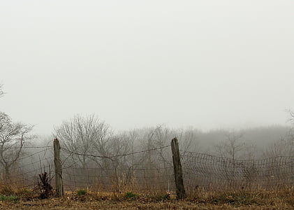 селски, страна, ограда, пост, дървен материал, Тел, мъгла