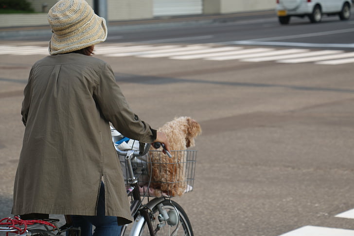 Japón, vista a la calle, mujer, bicicleta, paseo, perro, bicicleta