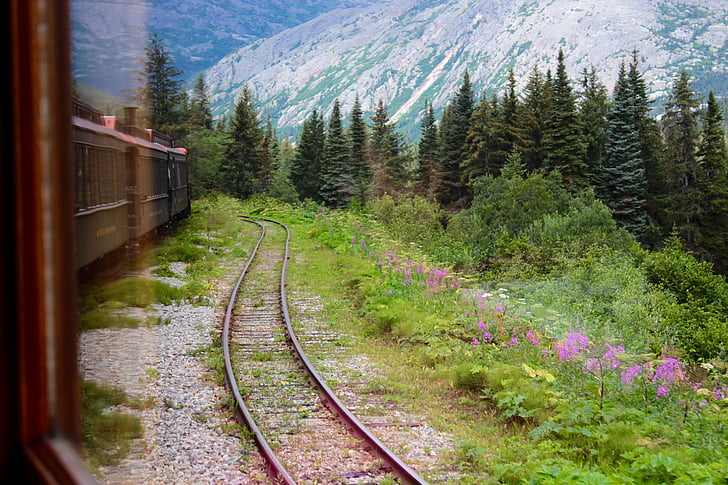 vlak, preprava, železnice, scéna, cestujúcich, skladby, hory