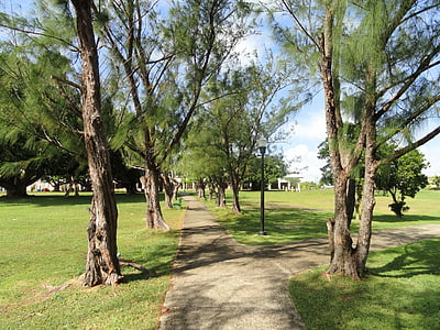 Universitas Guam, kampus, alam, di luar, pohon, tropis, tropis