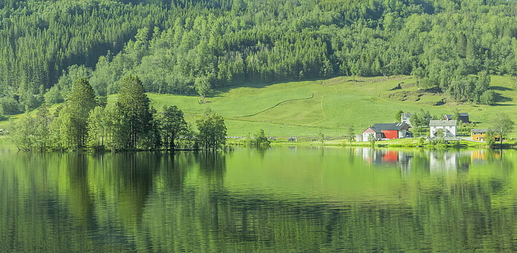 Noruega, Lago, verde, árvores, natureza, Parque, água