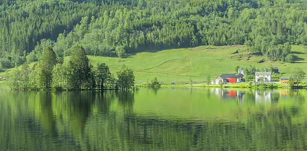 Noorwegen, Lake, groen, bomen, natuur, Park, water