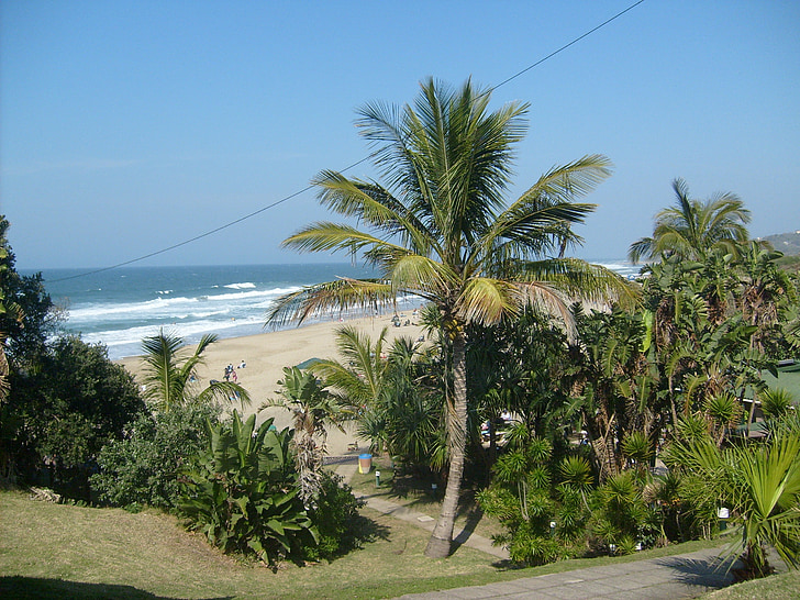 пляжем Маріна, KZN, південному узбережжі, Південно-Африканська Республіка, пляж, Природа, пишні