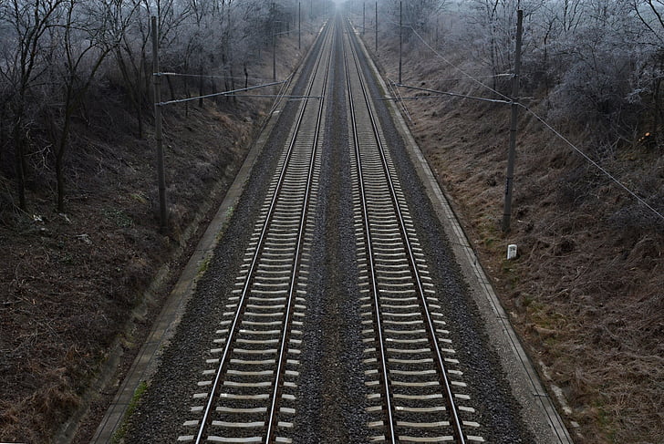 rail, winter, nature, cold, choice
