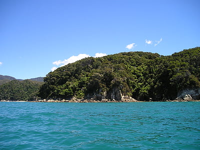 Nueva Zelanda, mar, agua, turquesa, naturaleza, Isla, verano