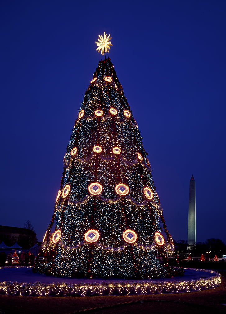 christmas tree, decorations, christmas, holiday, evergreen, lights, star