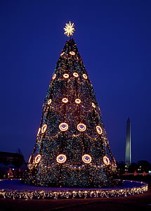 pohon Natal, dekorasi, Natal, liburan, Evergreen, lampu, bintang