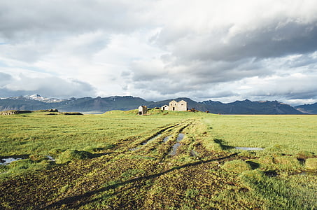 Исландия, ферма, поле, трева, страна, планини, скали