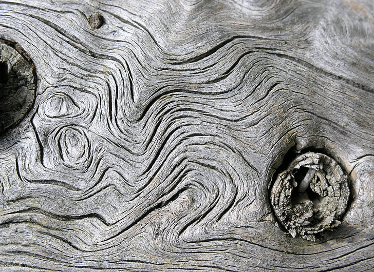 дървен материал, структура, фон, дърво структура