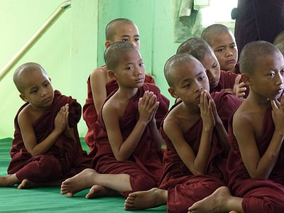 monk, novice, chanting, buddhist, culture, buddhism, temple