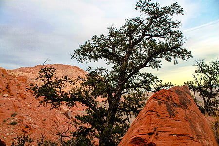 Utah, crvene stijene, Crveni, nacionalne, parka, Sjedinjene Američke Države, pustinja