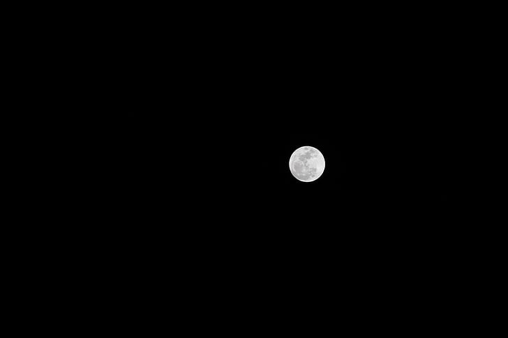 Lune, clair de lune, Sky, sombre, nuit, Halloween, astronomie