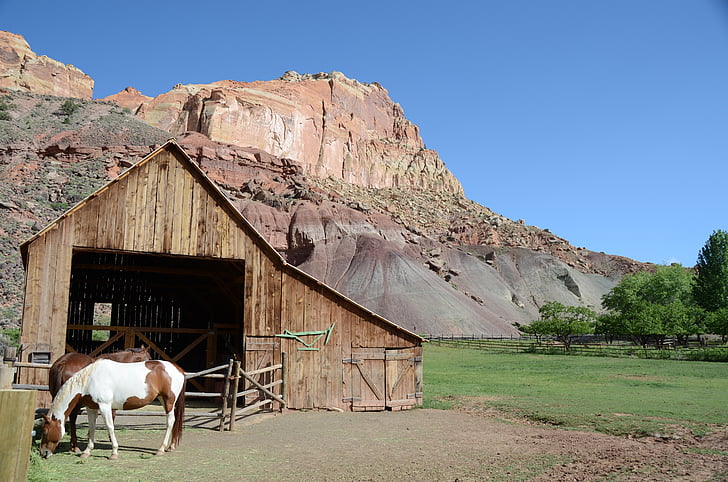 caballo, granero, Parque Nacional de Capitol reef, Utah, Fruita, el oeste, montañas