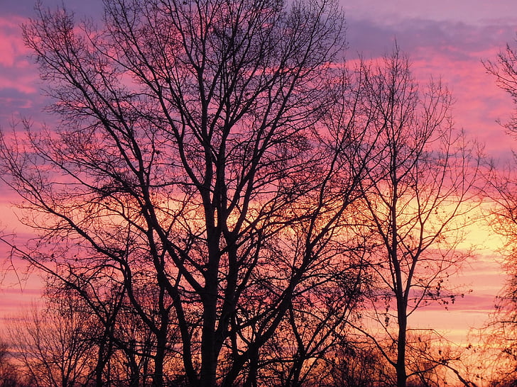 Захід сонця, небо, хмари, Сутінки, кольори, рожевий, фіолетовий