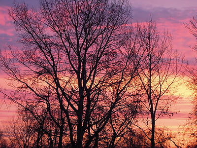 puesta de sol, cielo, nubes, al atardecer, colores, rosa, púrpura
