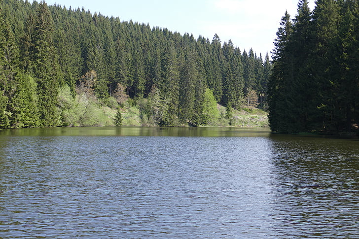 Grumbach Dam, søen, vand, skov, natur, landskab