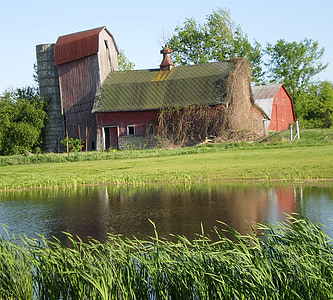 barn, pond, water, dilapidated, farm, rural, agriculture