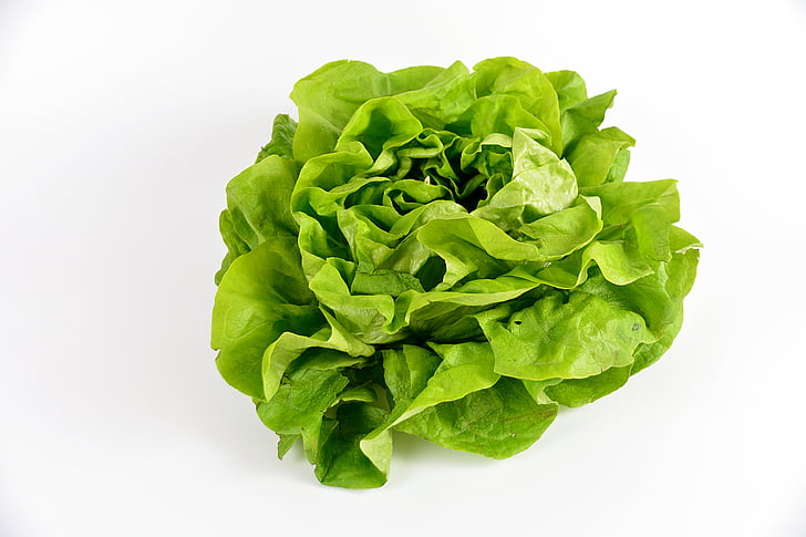 salata, zelena, povrće, jela, povrtnjak, moć, Poljoprivreda
