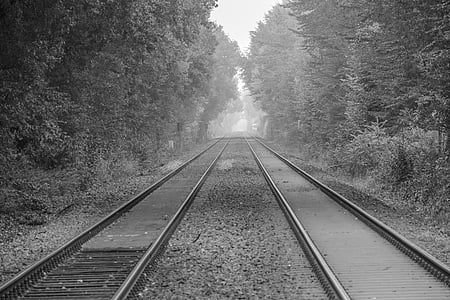 railroad tracks, railway, seemed, gleise, railway tracks, train