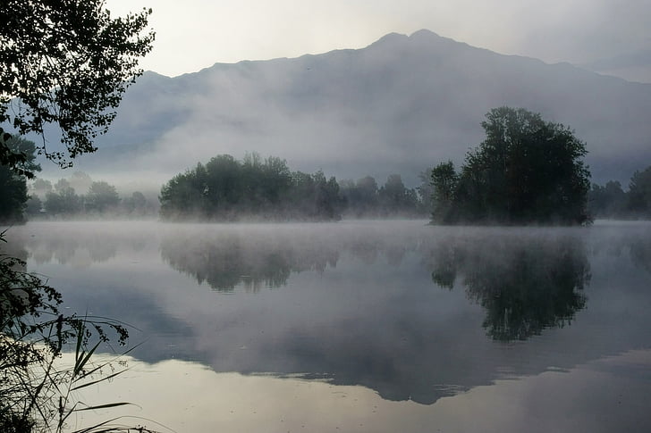mgła, Jezioro, mgła, na zewnątrz, odbicie, Rzeka, drzewa