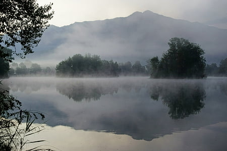 dimma, sjön, dimma, Utomhus, reflektion, floden, träd
