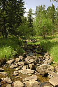 Stream, Brook, pegunungan, musim panas, hijau, pohon, air