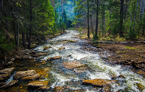 russia, stream, creek, river, water, rocks, stones