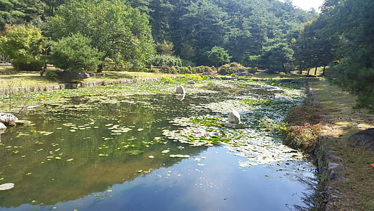 Korea, alaline elamisluba, vähemuse vanduma, maastik, jõgi, Park, metsa