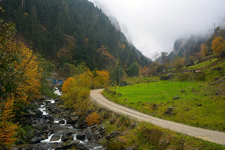 Highland, carretera, DD, Trabzon, verds, natura, núvols