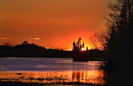 solnedgang, Twilight, kveld, solen, vann, Lake, trær