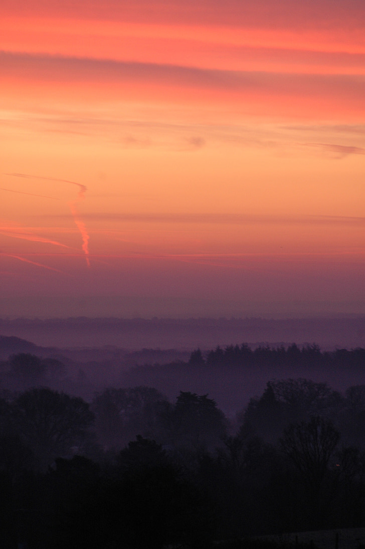 Easton Norwich, Forest, Sunrise, Orange, červená, krásny, Sky