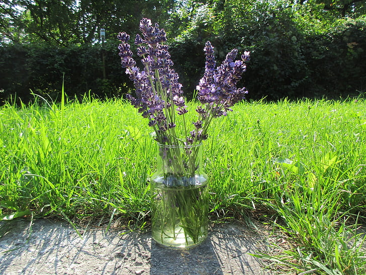 Lavendel, Grass, Blumenstrauß