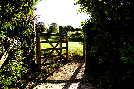gate, field, fence, grass, green, meadow, lawn