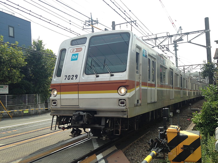 Toyoko, elektrickým vlakom, viesť vozidlo