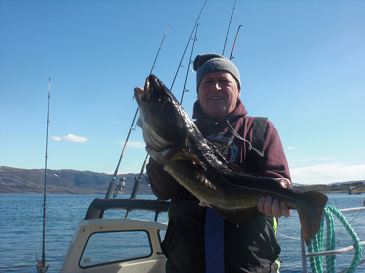 pescatore, Fischer, Cod, pesce, Fang, Norvegia