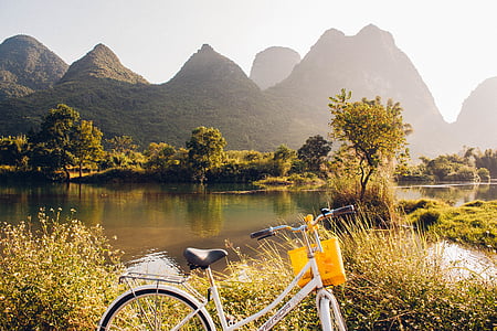 biciclette, vicino a, corpo, acqua, giorno, montagna, albero