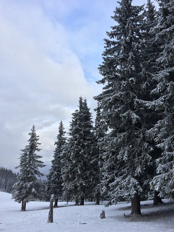 landscape, winter, snow, sky, mountain, nature, trees