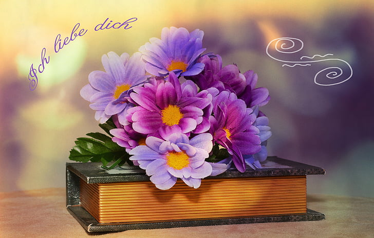 flores, flores artificiales, libro, fuente, bokeh, tarjeta de felicitación, naturaleza