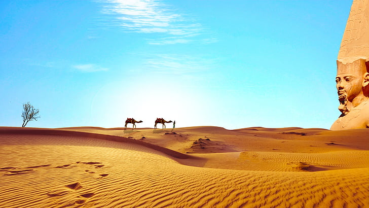 Egiptus, Sahara, Desert, kuiv, kaamelid, Temple, avastada