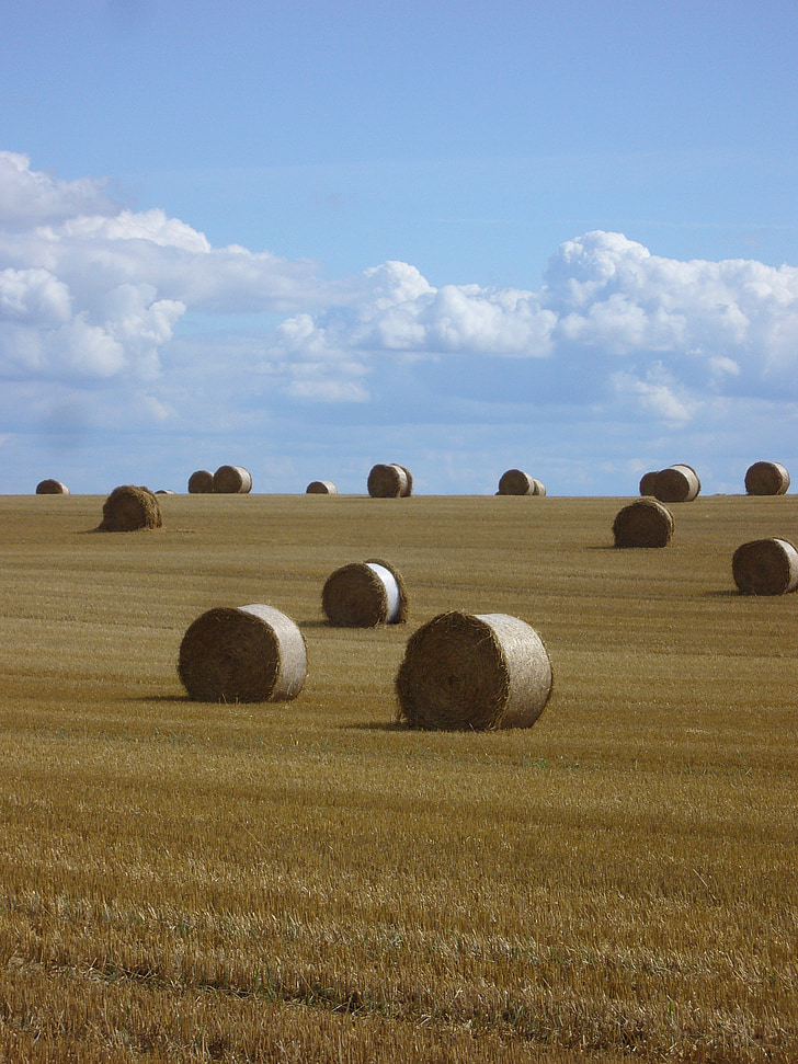 straw bales, straw, landscape, agriculture, clouds, straw box, round bales